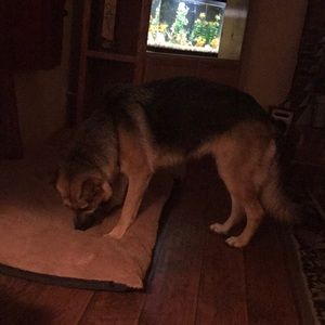 Meet your Posher, Stacy